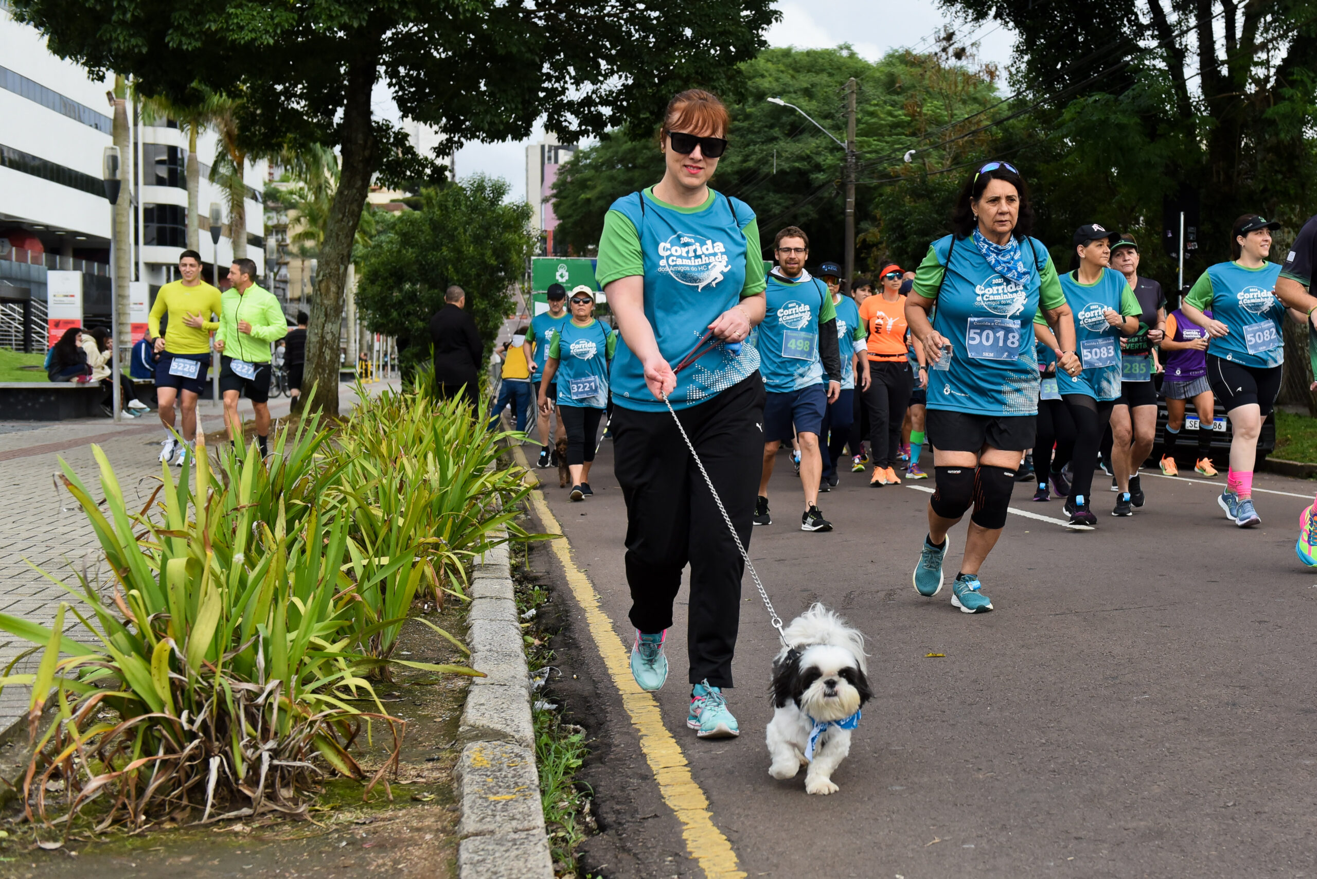 BenefÃ­cios da caminhada para cÃ£es